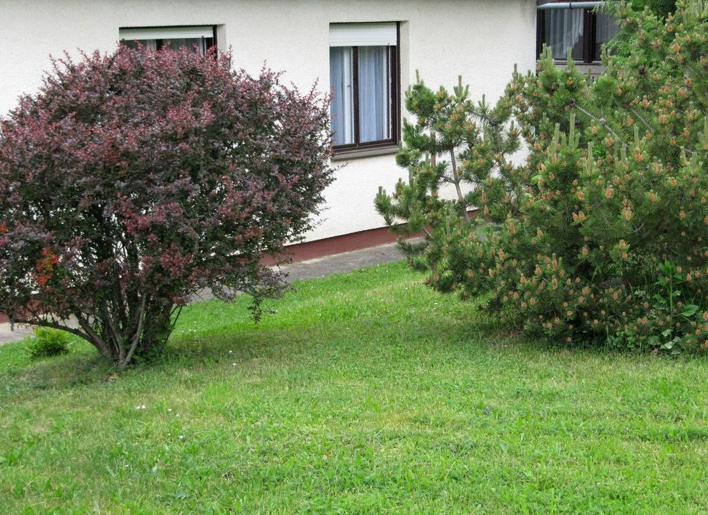Budai Garden House Hévíz Habitación foto