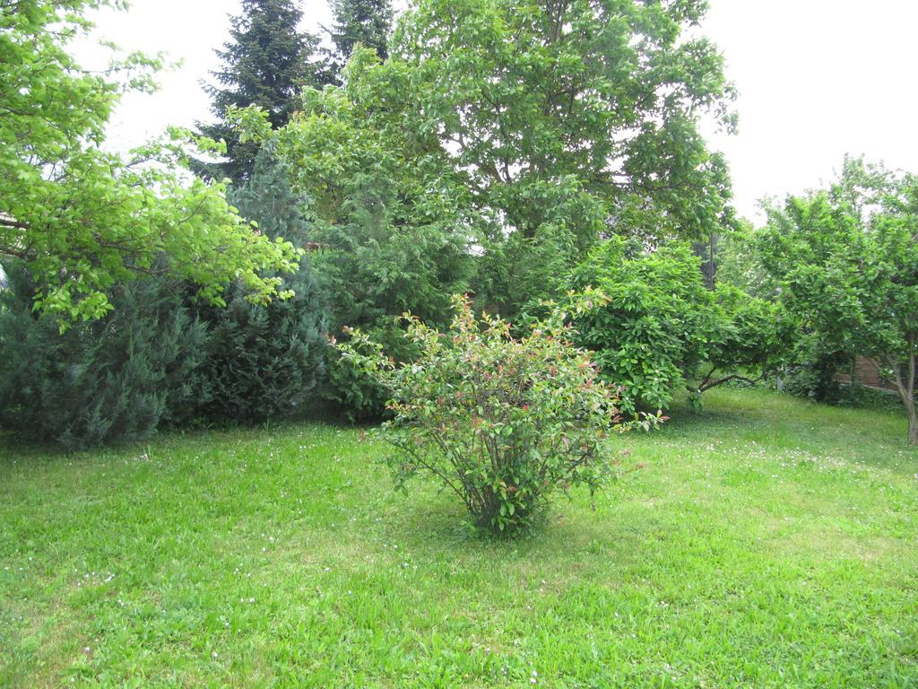 Budai Garden House Hévíz Habitación foto